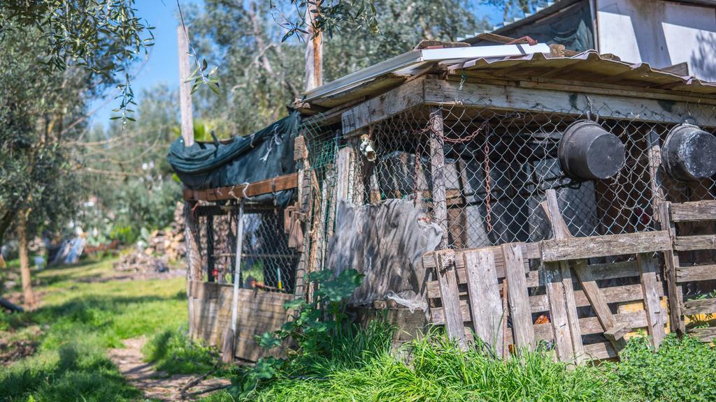 Villa Calma Vieste Dış mekan fotoğraf