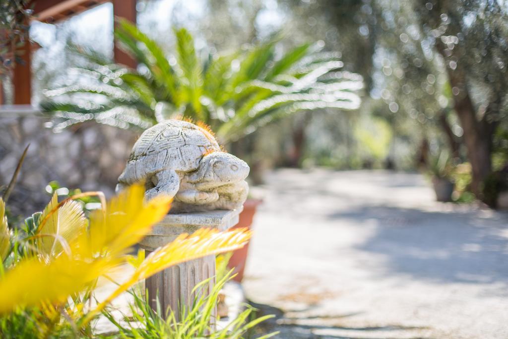 Villa Calma Vieste Dış mekan fotoğraf